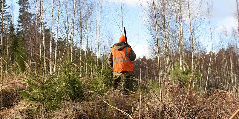The Most Important Safety Tips For Hunting