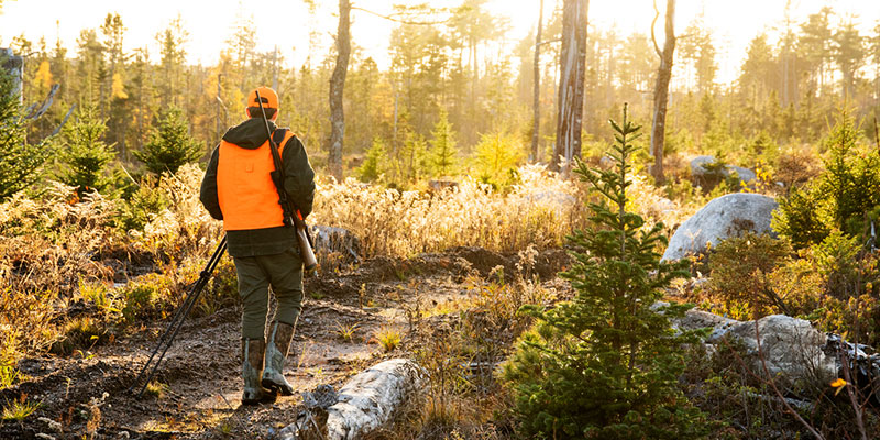 How to Start Hunting: Key Steps to Take Before Your First Trip
