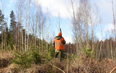 Preparation Steps For Successful Hunting