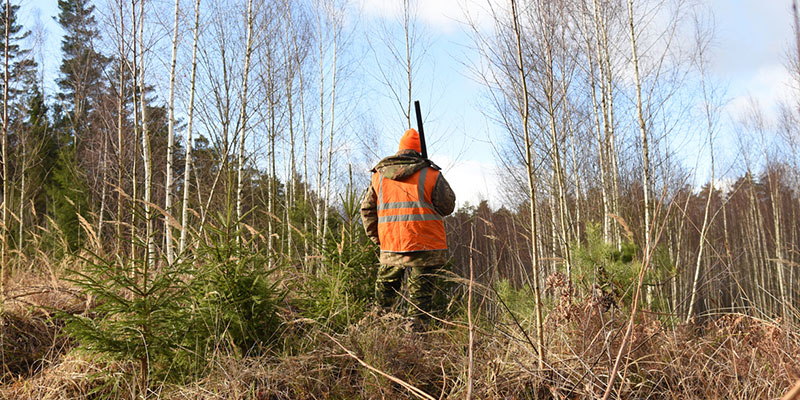 Preparation Steps For Successful Hunting